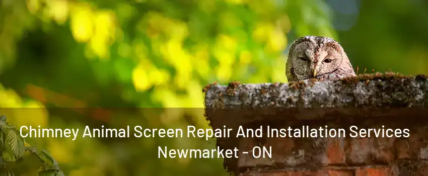 Chimney Animal Screen Repair And Installation Services Newmarket - ON