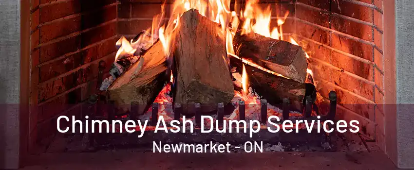 Chimney Ash Dump Services Newmarket - ON