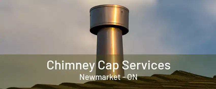 Chimney Cap Services Newmarket - ON