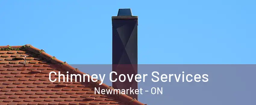 Chimney Cover Services Newmarket - ON