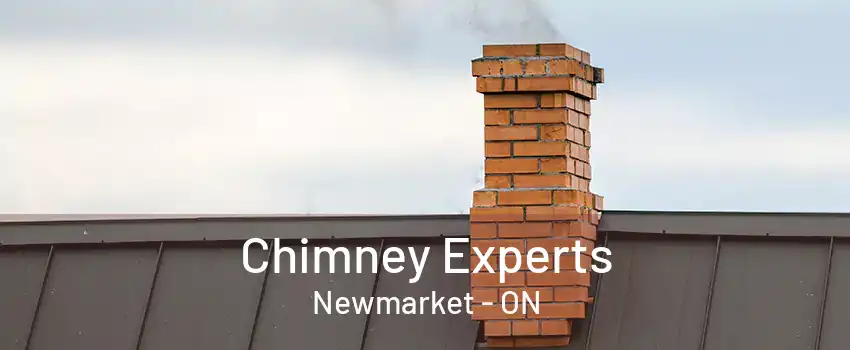 Chimney Experts Newmarket - ON