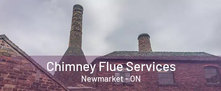 Chimney Flue Services Newmarket - ON