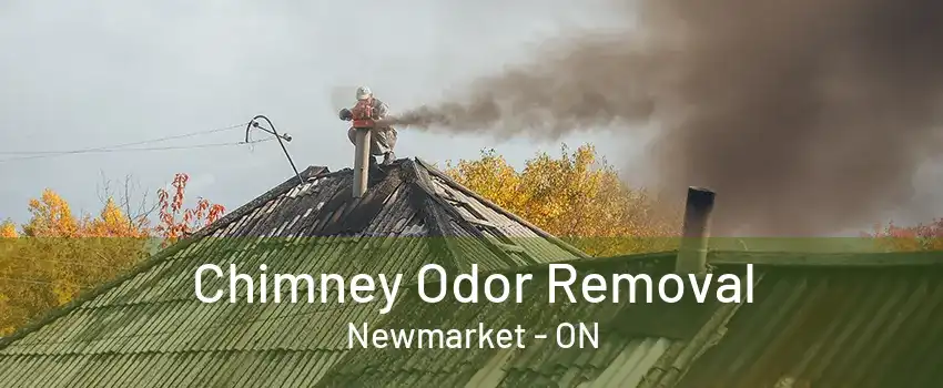 Chimney Odor Removal Newmarket - ON