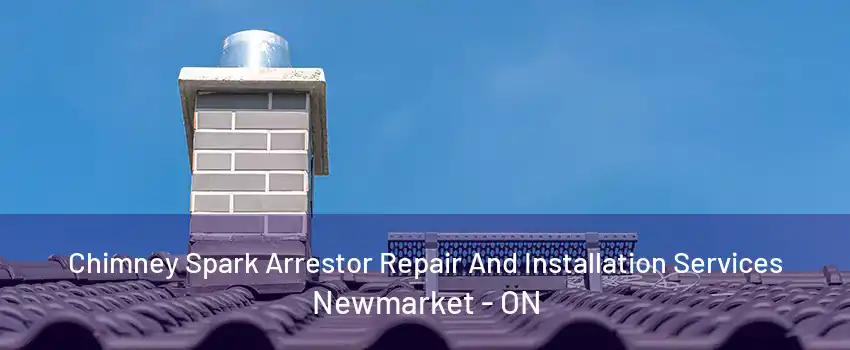 Chimney Spark Arrestor Repair And Installation Services Newmarket - ON