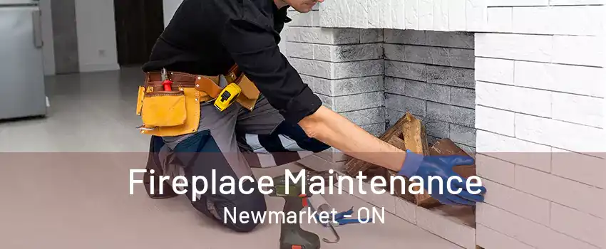 Fireplace Maintenance Newmarket - ON