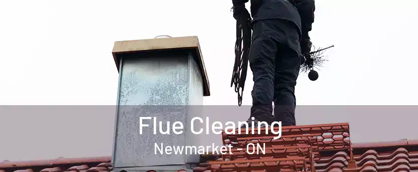 Flue Cleaning Newmarket - ON