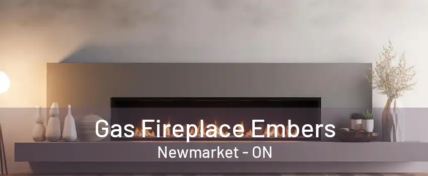 Gas Fireplace Embers Newmarket - ON