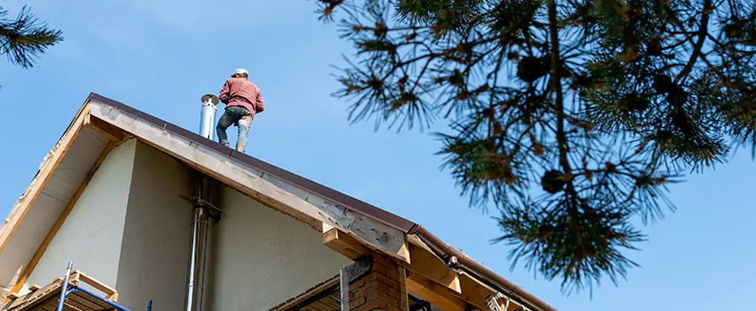 Birds Removal Contractors from Chimney in Newmarket, ON