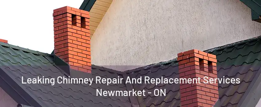 Leaking Chimney Repair And Replacement Services Newmarket - ON