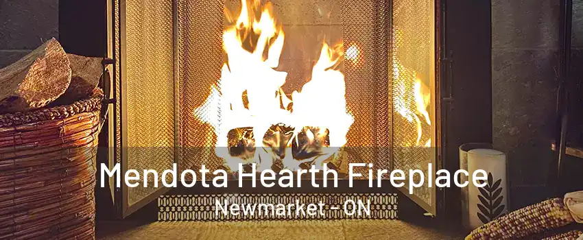 Mendota Hearth Fireplace Newmarket - ON