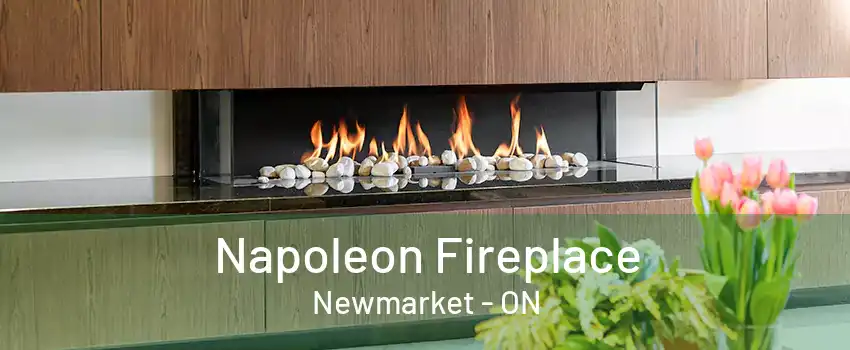 Napoleon Fireplace Newmarket - ON